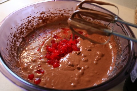 Chocolate Cherry Cola Bundt Cake Recipe 017 (Mobile)